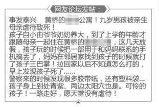 悲 哀 9岁男孩被母亲打后身亡,疑因弄丢手机丨雪化后,手机找到了 