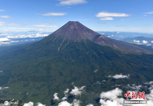 今夏日本山梨县农户为葡萄挂上 遮阳伞 信息阅读欣赏 信息村 K0w0m Com