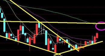 000976这支股票怎样？分析下