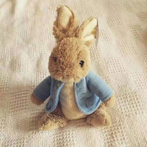 有谁知道这只兔子叫什么名字 