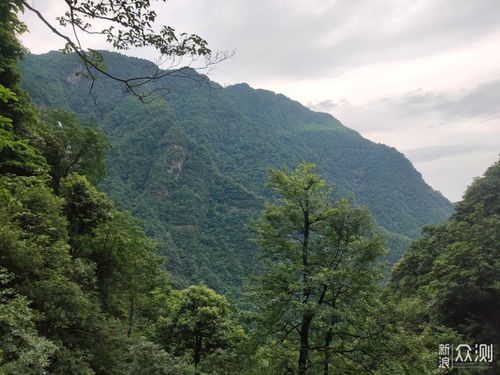 明月何时照人来 亲测明月山值不值得去全分析