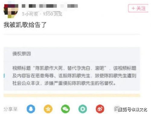 视频博主发文称因制作吐槽视频遭到陈凯歌方举报