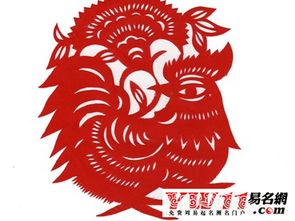 属鸡的人2020年运程,2020年属鸡人的运势 