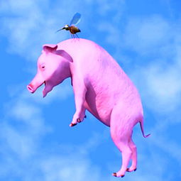 梦见天上有猪飞