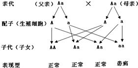 如何从下料口看混凝土是否离析，怎么看是滴浆还是滴水