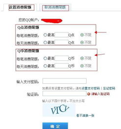 什么叫定额帐户