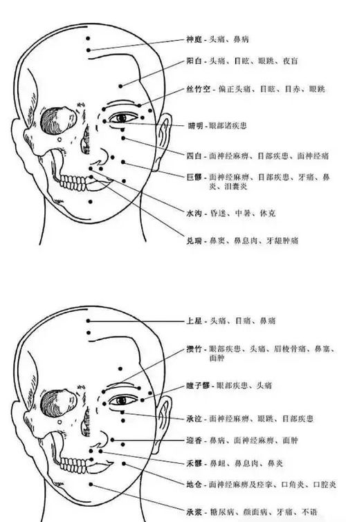 人体面部穴位图及功效作用