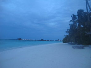 马尔代夫奥露岛婚拍浪漫热带岛屿的美好纪念