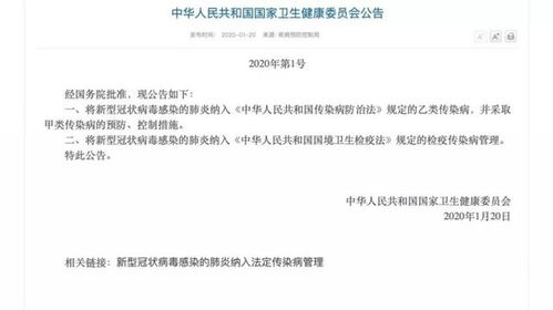 专家建议 现在能不到武汉去就不去,武汉人能不出去就不出去