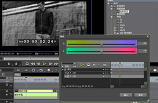 edius为视频进行调色的操作教程 