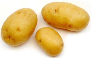 八月份能不能种土豆 立秋能种土豆吗