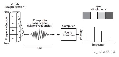磁共振信号是如何包含空间频率信息的 暨 5.1.7 2