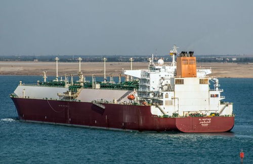 向我们驶来的,是2023年最大的集装箱船 散货船 油轮 汽车运输船 LNG运输船 重吊船