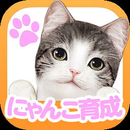 掌上猫咪手游下载 掌上猫咪安卓版v1.0.4 497电玩 