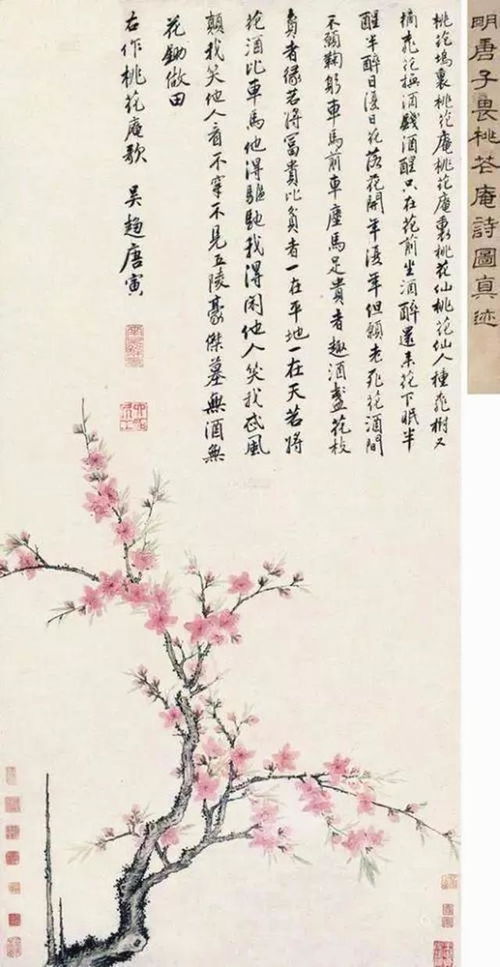 桃花庵下桃花仙,明,唐寅 桃花庵诗图 欣赏 