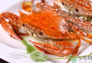 梭子蟹是海蟹还是河蟹 梭子蟹和河蟹哪个好吃