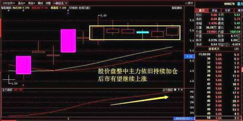 怎样解释拉升时资金流出，回落时资金反而流进