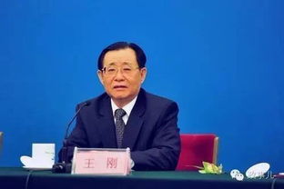 王刚任中国计生协会会长 媒体盘点其曾任职务