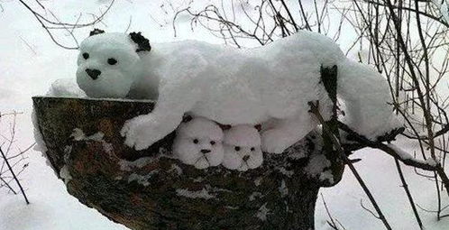 堆发怎么弄好看，下雪了女朋友给我发了个堆雪人的视频我应该怎么给她回答