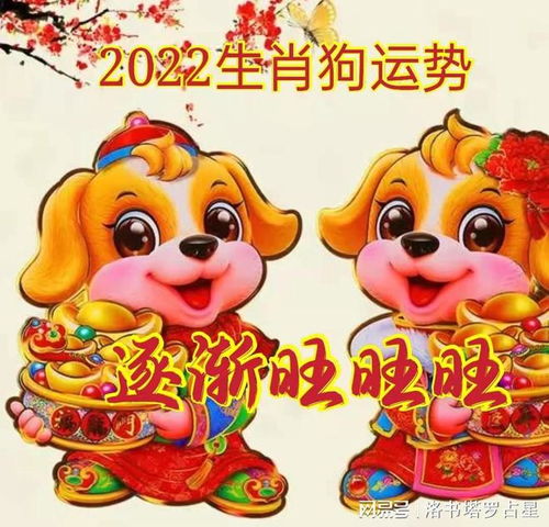 2022年十二生肖运势合集,旺运指南