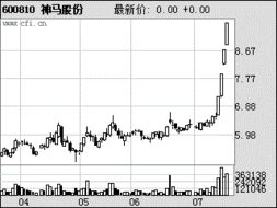 最近观察股市，发现神马实业600810涨的很好，大家能不能给分析一下可否长期持有？