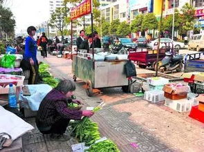 小区里各种摆摊,各种扰民 物业有权这样做吗 收的钱都去哪了