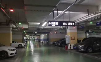 一般市区哪些地方能免费停车(超市停车场免费)