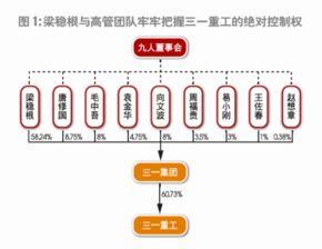 个体户如何装入上市公司