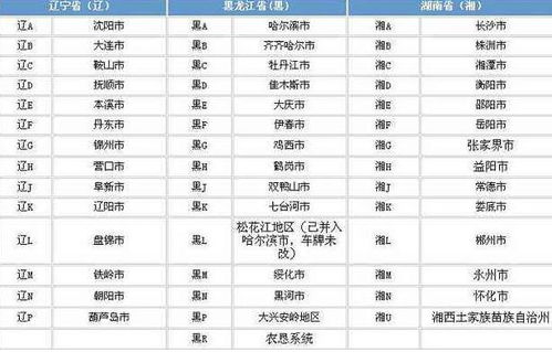 汽车车牌号查询系统(摩托车牌照查询网)