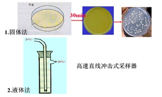 水中微生物种类图片 图片欣赏中心 急不急图文 Jpjww Com