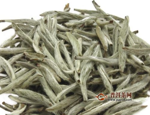 7年福鼎白茶价格,一年茶 三年药 七年宝