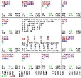 请大师综合分析下 紫薇排盘 