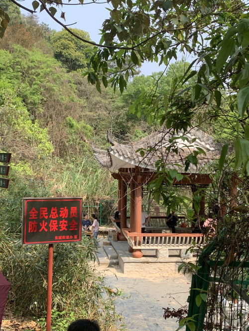 清远 白庙渔村飞来寺游玩攻略 