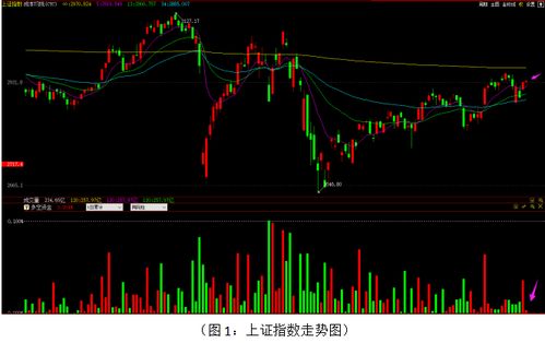 为什么指南针软件公司，号称的敢死队资金在所有大盘股里也会出现，而且还说是交易所数据，