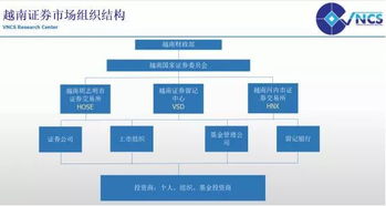 在中国如何才能买其他国家的股票，例如越南泰国等。