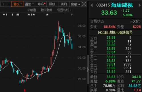 金开新能：上半年净利润为5.17亿元，同比增长38.72%