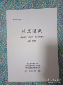 电影文学剧本 凤凰涅槃 编剧阐释 人物小传 剧本详细提纲