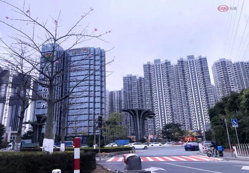 产权缩水20年 广州番禺最高的地铁上盖新房 卖4万 