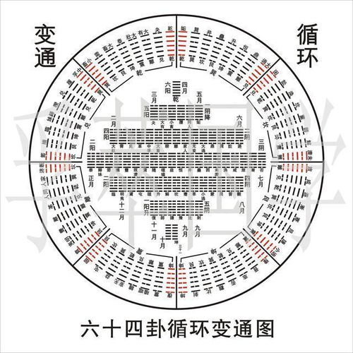 命理学之八字能富又能破的特别案例 