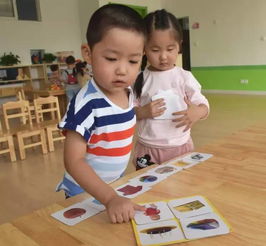 文华幼儿园摄影 孩子,让我如何不爱你