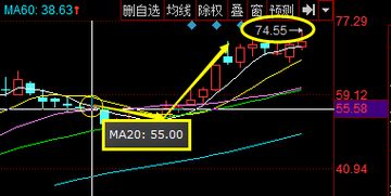 专家建议的本质意义是指，放量下跌的实战意义是什么