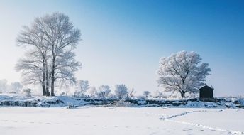 下雪天打雷是什么征兆 下雪天为什么不打雷