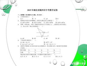 2019湖北中考数学试卷 网友说最难中考题,压轴题确实难