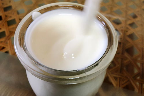 老年人常喝牛奶有何好处 牛奶 酸奶和奶粉,哪个效果更好