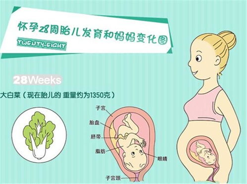 摩羯座几月怀孕过程，生摩羯座的宝宝几月怀孕(摩羯座一般在几月生)