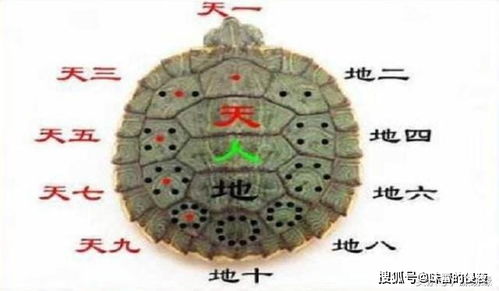 易经 中的 大衍之数 有50,为何只用49