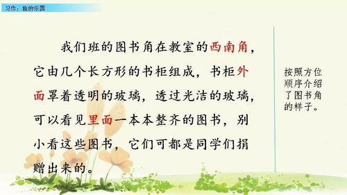 我的乐园小院子作文