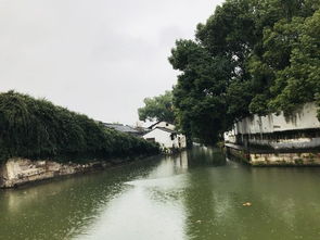 绍兴之旅 雨游八字桥 