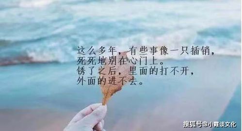 励志感言人生感悟短句—励志家庭生活感悟？