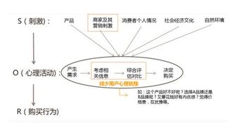 投资者在进行投资决策时常常会表现出以下一些心理特点有哪些？